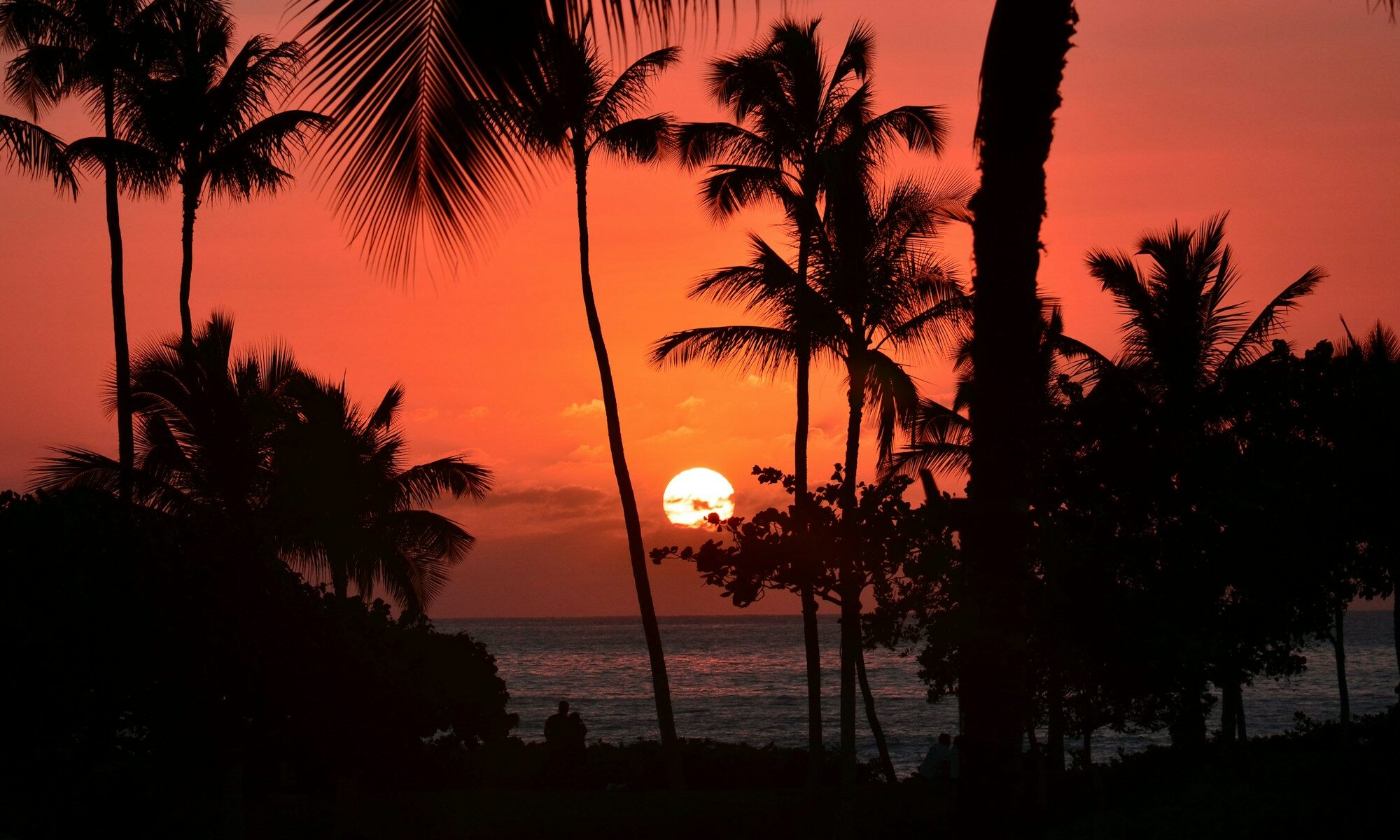 Hawaiian Environmental Products & Fine Art Roger Eastwood Collection
