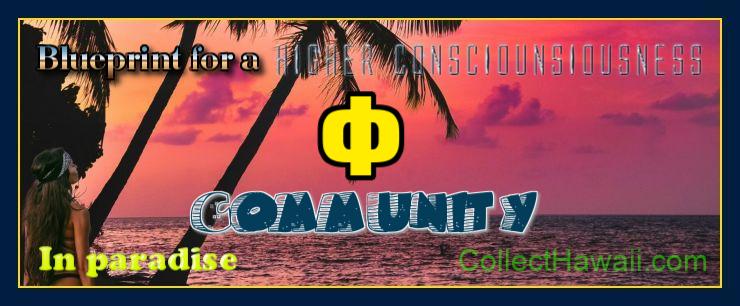 The Puna project website icon